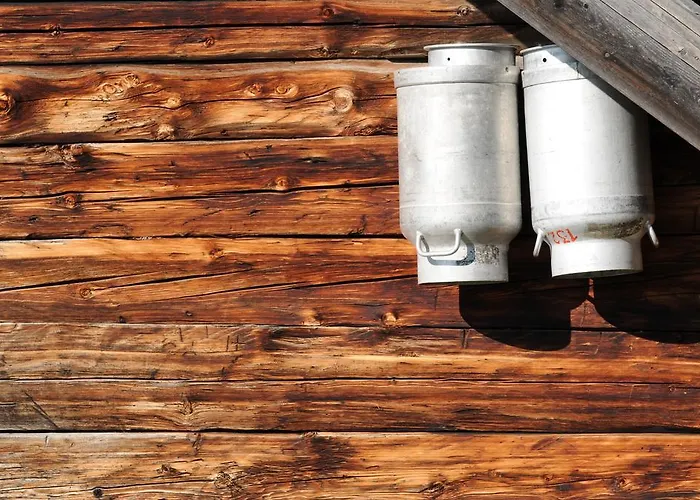 Apartman Und Helene Koller Söll