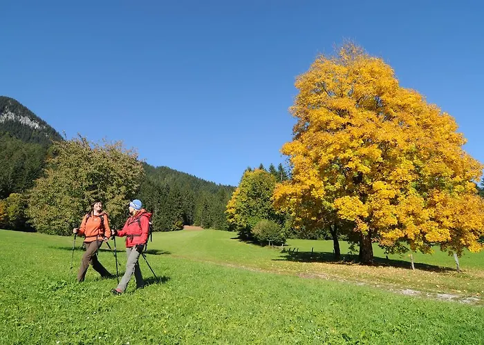 Apartman Und Helene Koller
