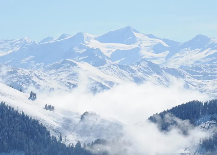 Apartman Und Helene Koller *